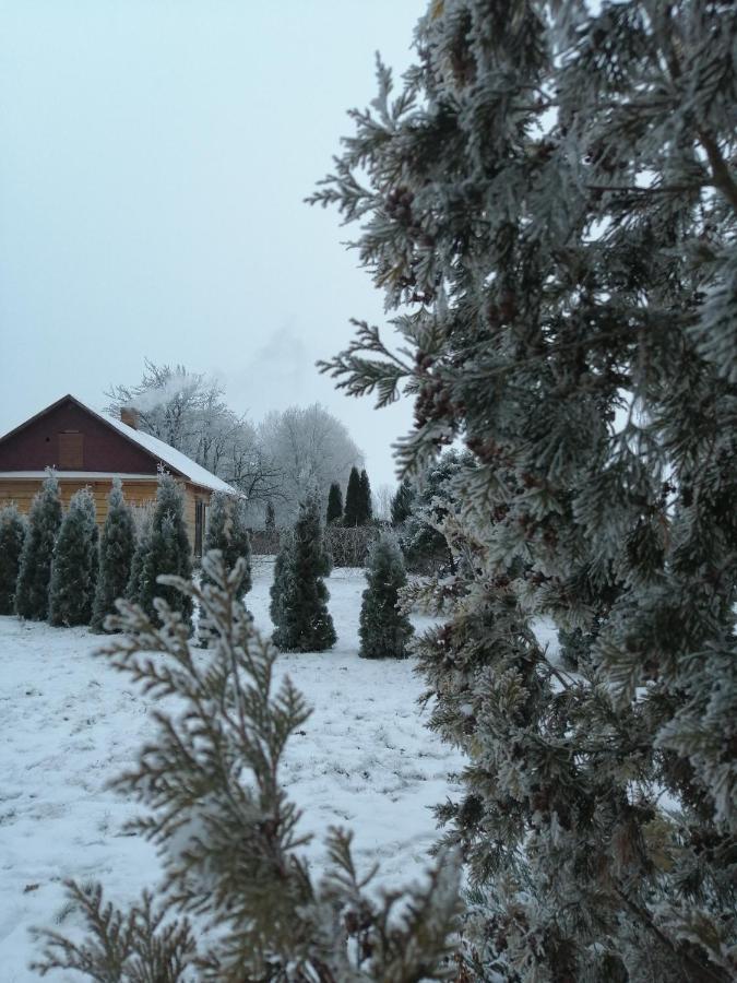 Отель Гостевой дом Усадьба Купалинка Острово Номер фото