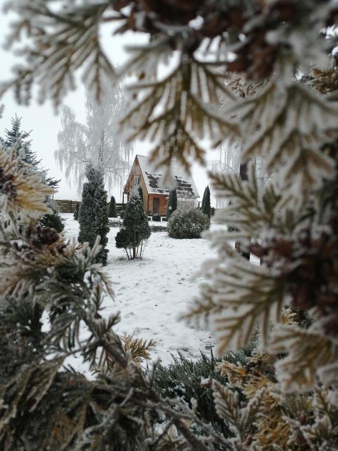 Отель Гостевой дом Усадьба Купалинка Острово Экстерьер фото